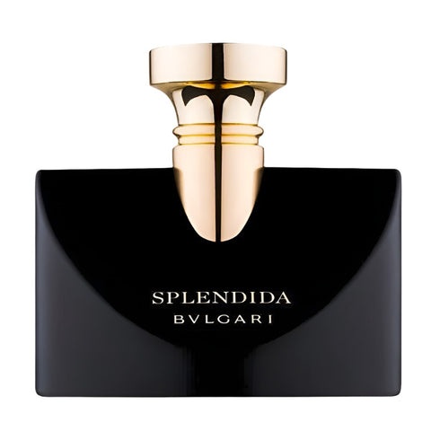 Bulgari Splendida Jasmin Noir